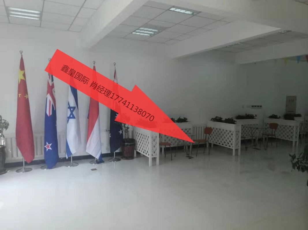 鑫皇國際1 - 副本.jpg